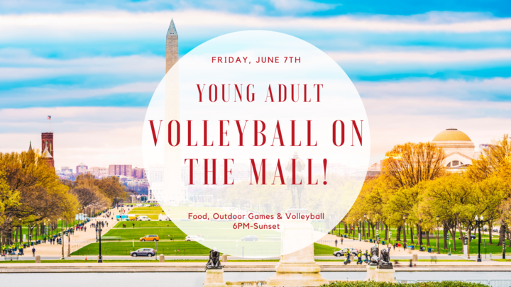 Young Adult Volleyball on the Mall