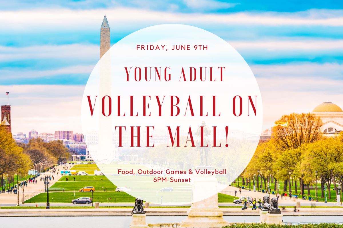 Young Adult Volleyball on the National Mall